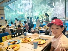 -帝企鹅自助餐厅•儿童岛•真企鹅(长隆企鹅酒店)