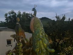 -丽泽山庄·生态怀柔菜·虹鳟鱼(红螺寺店)