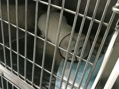 -贝利宠物医院·骨科·眼科·肿瘤转诊中心(南坪诊疗中心)