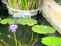 -国家植物园南园