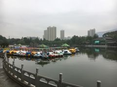 -西宁市人民公园(城西区)