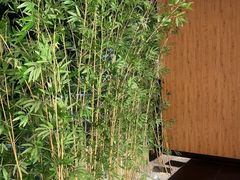 -新紫霞养生·影院足道·SPA(金山区店)