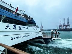 -招商蛇口邮轮母港(观光客运)