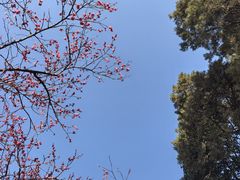 -无锡梅园公园