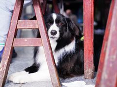 -锦江中华村农家乐饭庄