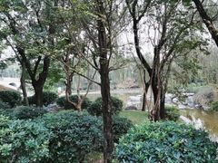 -清凉山国家森林公园