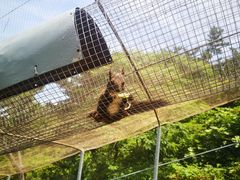 -西霞口神雕山野生动物世界