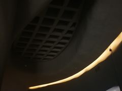 -敦煌莫高窟数字展示中心