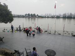 -艾溪湖湿地公园