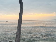 -日落吧·海景咖啡厅·餐酒吧·鸡尾酒·下午茶·乐队表演·浪漫夕阳·三亚文华东方酒店