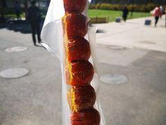 -第二外国语学院-韩国餐厅(朝阳路店)