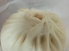猪肉大葱包-品乐天包子(西北大学店)