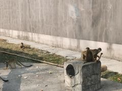-苏州上方山国家森林公园