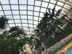 -麦积山温泉