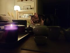 -猫大福·Fortune Cat猫舍(百子湾店)