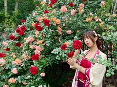 -三圣花乡旅游区