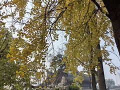 -宝光寺