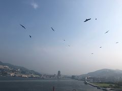 -歌诗达邮轮(宝杨路码头)