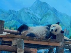 -武汉动物园