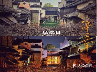 二月末的乌镇虽飘着绵绵细雨，却不失她独有的温柔