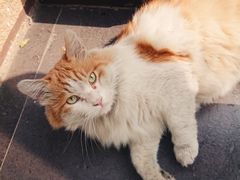 -吃饼人西餐(南开店)