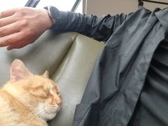 -远山有窑