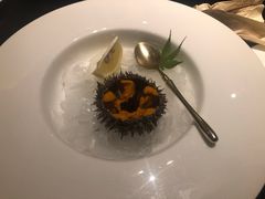 -甄御•海鲜新青岛菜(麦岛店)