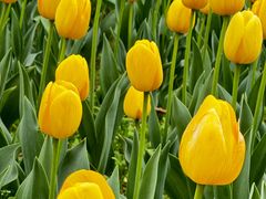 -长春公园(普阳街道)