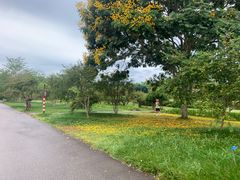 -中国科学院西双版纳热带植物园