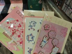 -猫的天空之城概念书店(丽江古城饮玉巷店)