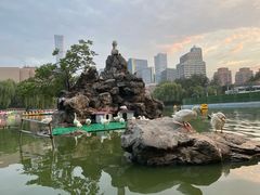 -团结湖公园