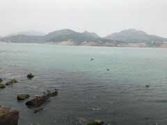 -海驴岛(荣成市)