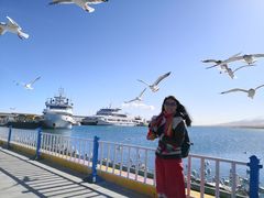 -青海湖国家重点风景名胜区