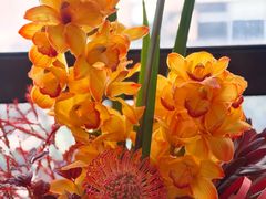 -双季花艺园艺市场(浦东店)