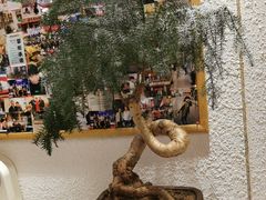 -白氏兄弟烧烤(富康路总店)