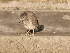 -苏州河梦清园环保主题公园