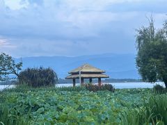 -西昌邛海湿地