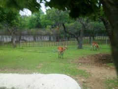 -西安秦岭野生动物园