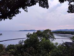 -上海市保健医疗中心