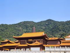 -深圳仙湖植物园
