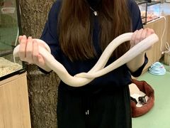 -藦茜花园宠物主题亲子互动体验馆(国顺东路店)
