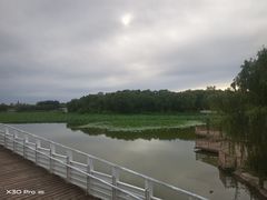 -大兴滨河森林公园