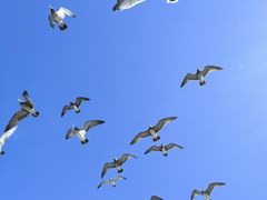 -大连海昌东方水城