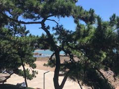 -青岛第二海水浴场