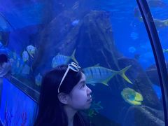 -蓬莱欧乐堡海洋极地世界