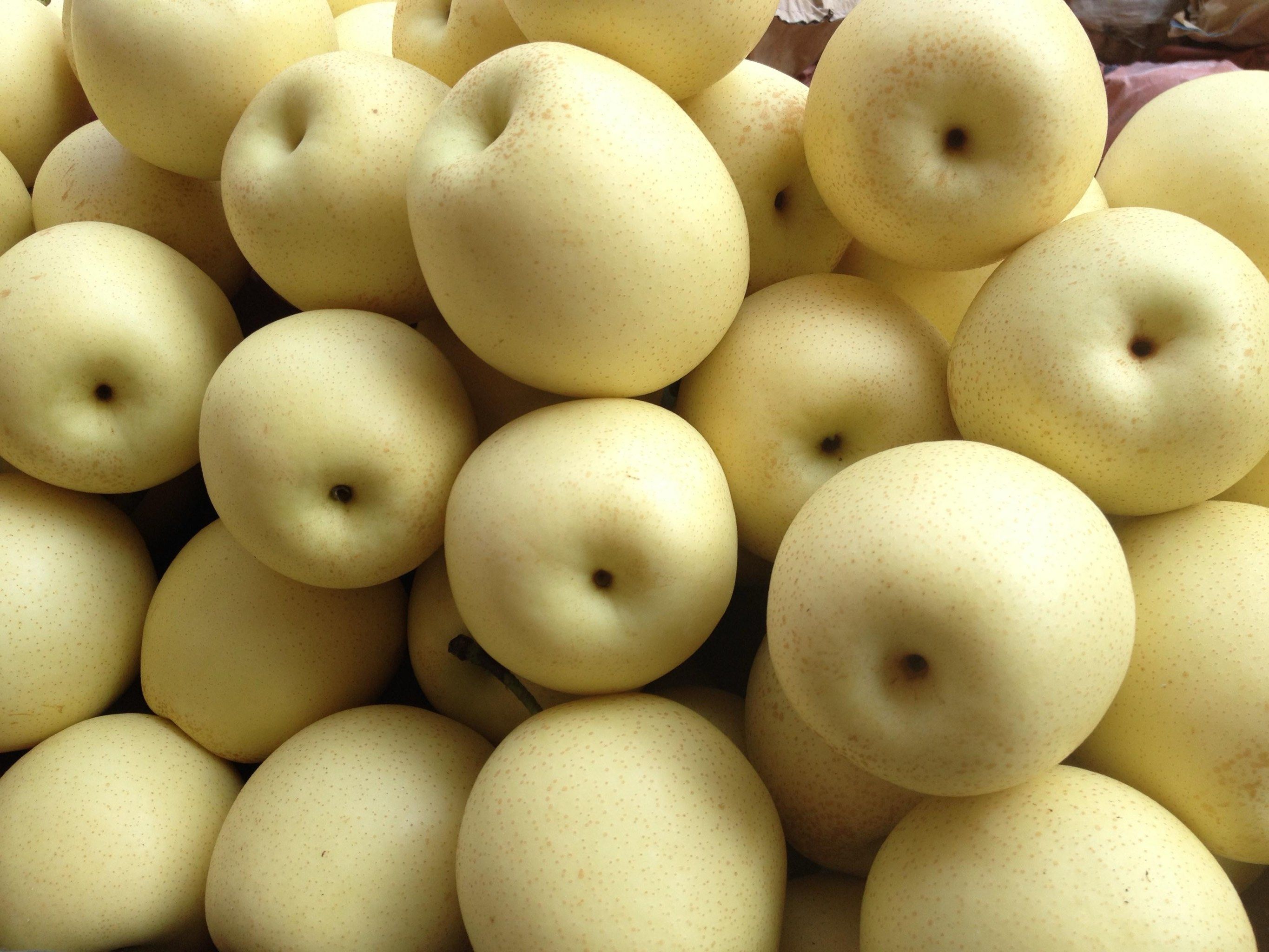 我们将深入探讨关于皇冠梨的诸多有趣小知识,让您对这种美味的水果有