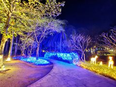 -三亚亚龙湾红树林度假酒店