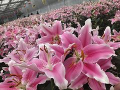 -长春农博园