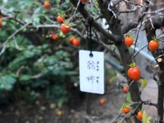 -中村藤吉(本店)
