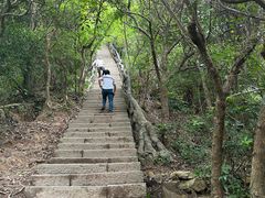 -梧桐山风景名胜区